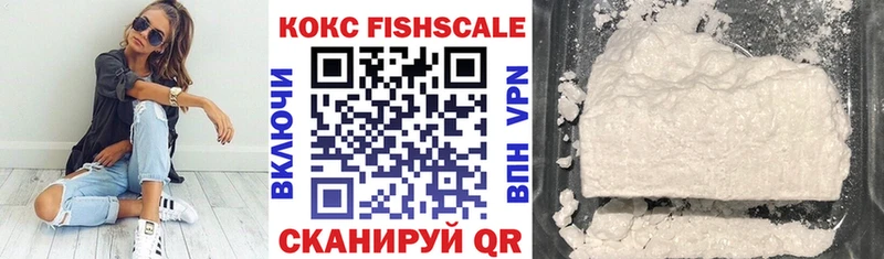 Купить закладки  Ишим  КОКАИН Fish Scale 